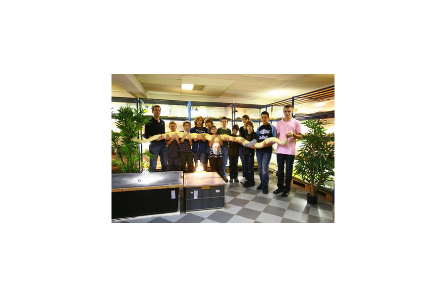 Journée découverte pour débutants - Samedi 4 janvier 2025