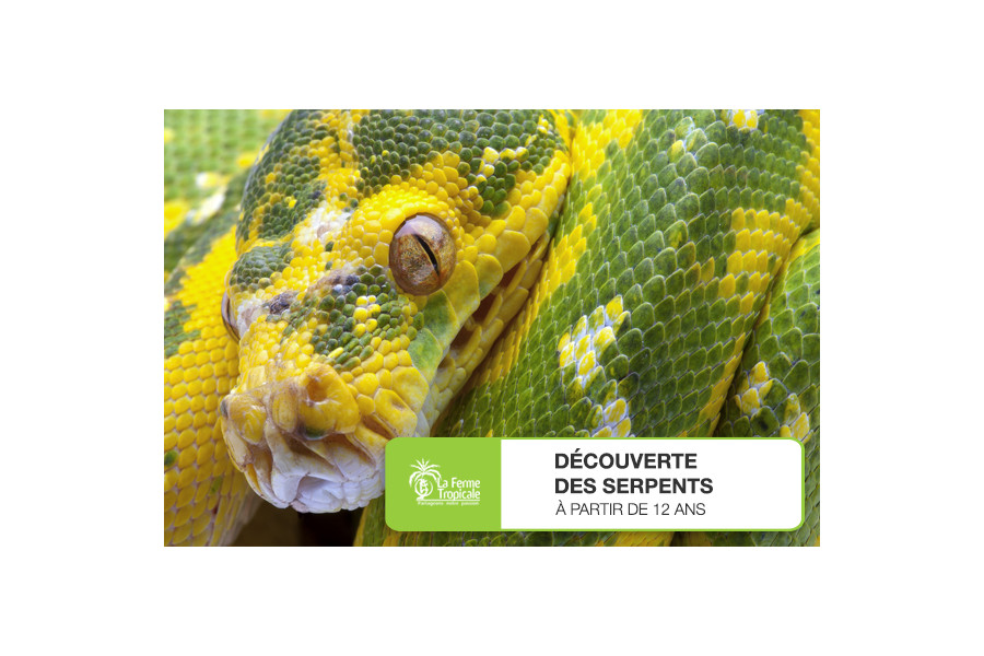 Découverte des serpents - Samedi 26 mars 2022