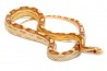 Pantherophis guttatus, butter motley