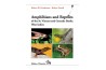 Amphibians and reptiles of the St. Vincent and Grenada Banks, West Indies