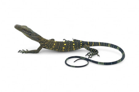 Varanus salvadorii, Batanta