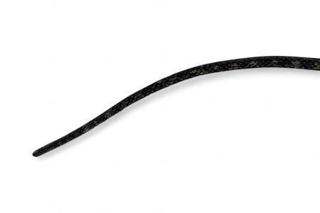 Tropidonophis halmahericus, blanc, femelle