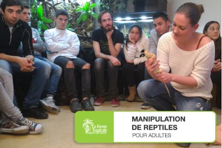 Manipulation de reptiles - Dimanche 20 mars 2022