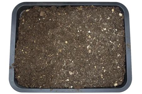 Earth Mix Prairie 10 Litres