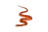 Oreocryptophis (Elaphe) porphyraceus pulchra