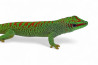 Phelsuma grandis, "high red", juvénile