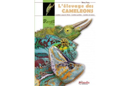 L'élevage des caméléons