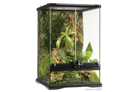 Terrarium 