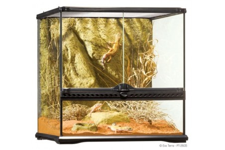 Terrarium 