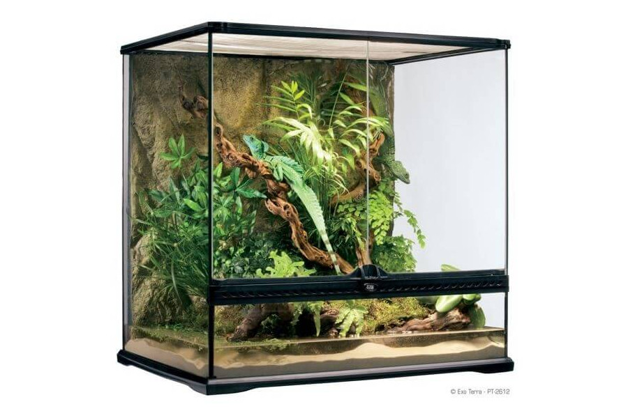 Terrarium Terrarium
