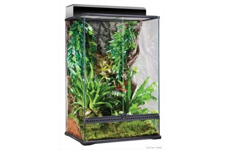 Terrarium 