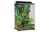 Terrarium 