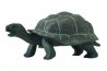 Figurine Bébé Tortue des Galapagos