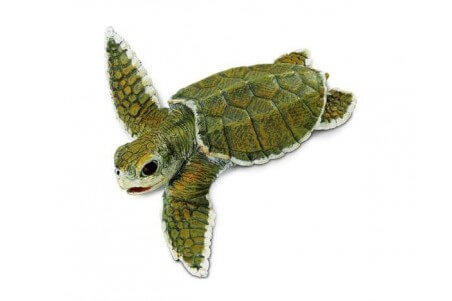 Figurine Bébé Tortue de Kemp