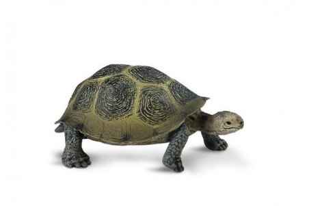 Figurine Desert Tortue