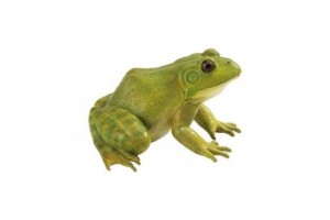 Figurine Grenouille Taureau