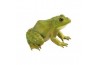Figurine Grenouille Taureau
