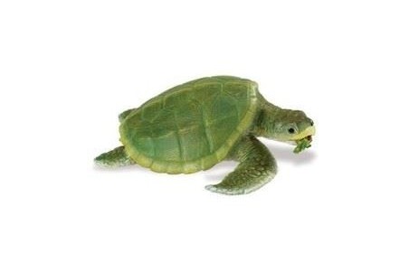 Figurine Kemp's Ridley Sea Turtle