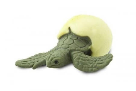 Figurine mini tortue de mer bébé avec oeuf