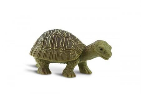 Figurine mini tortue terrestre