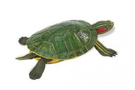 Figurine Tortue de Floride