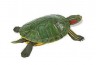 Figurine Tortue de Floride