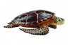 Figurine Sea Turtle - grand modèle