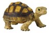 Figurine Tortue