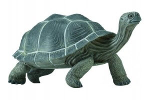 Figurine Tortue des...