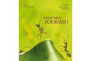 Formidables fourmis !