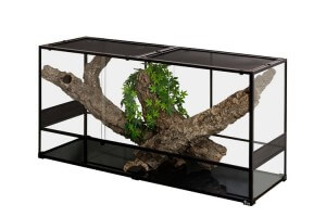 Terrarium en kit