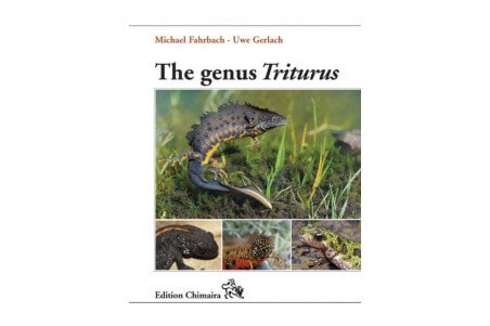 The genus Triturus