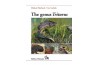 The genus Triturus