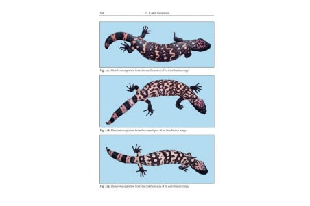 The Gila Monster – Heloderma suspectum. Natural History, Husbandry & Propagation