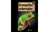 Grenouilles arboricoles