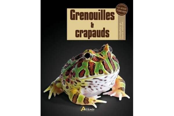 Grenouilles & Crapauds
