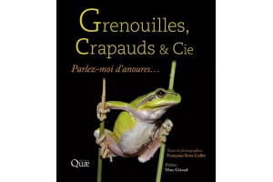 Grenouilles, crapauds & Cie