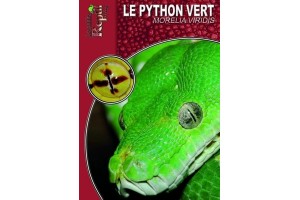 Le Python vert - Morelia...
