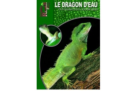 Le Dragon d'eau - Physignathus cocincinus Guide Reptilmag