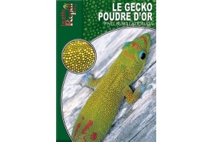 Le Gecko poussière d'or -...