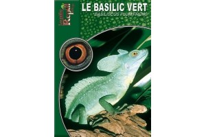 Le Basilic vert -...