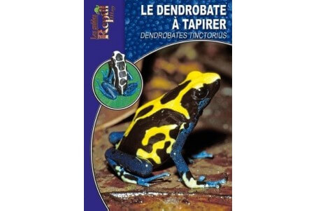 La Dendrobates tinctorius Guide Reptilmag