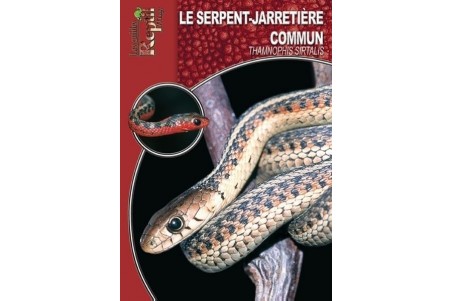 La Thamnophis sirtalis Guide Reptilmag