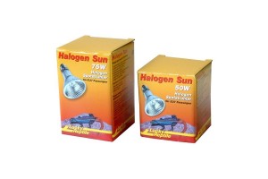 Halogen sun