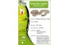 Heterodon nasicus