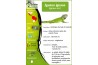 Iguana iguana, adulte