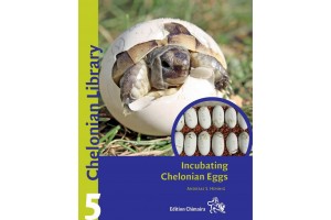 Incubating Chelonian Eggs