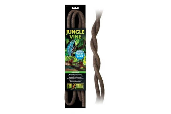 Jungle Vine Jungle Vine