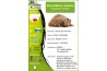 Sternotherus (Kinosternon) carinatus