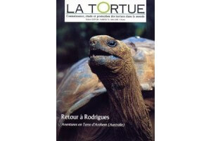 La Tortue